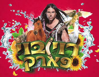 רוי בוי - ניר סטולו