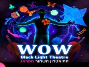 תיאטרון שחור - WOW SHOW